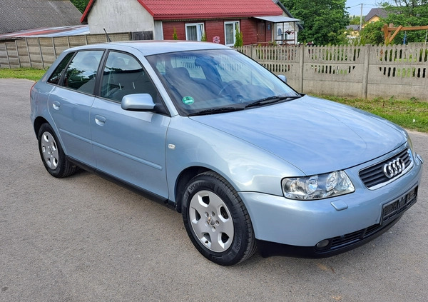 Audi A3 cena 8900 przebieg: 252829, rok produkcji 2001 z Rypin małe 137